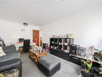Picture 11
